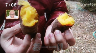 サツマイモ（ベニマサリ）で石焼き芋